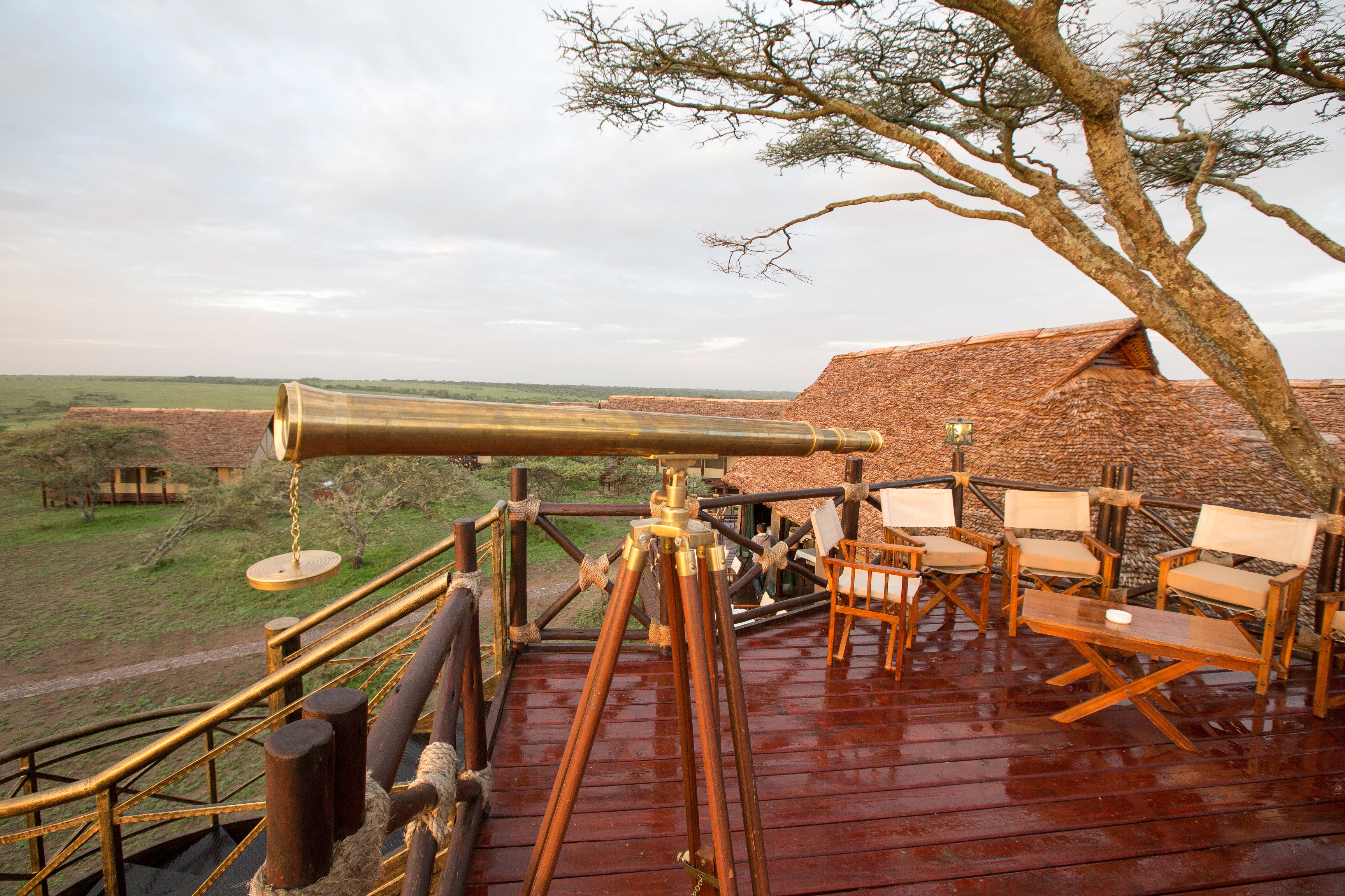 Lake Ndutu Luxury Tented Lodge Safarilodge I Tanzania