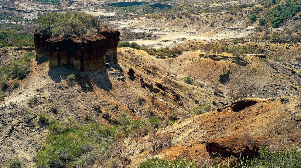 Kløftene i det forunderlige Olduvai Gorge