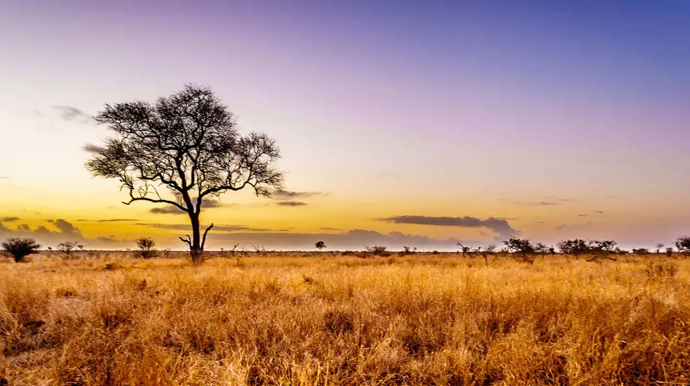  Reis til Sør-Afrika og se solnedgangen over savannen