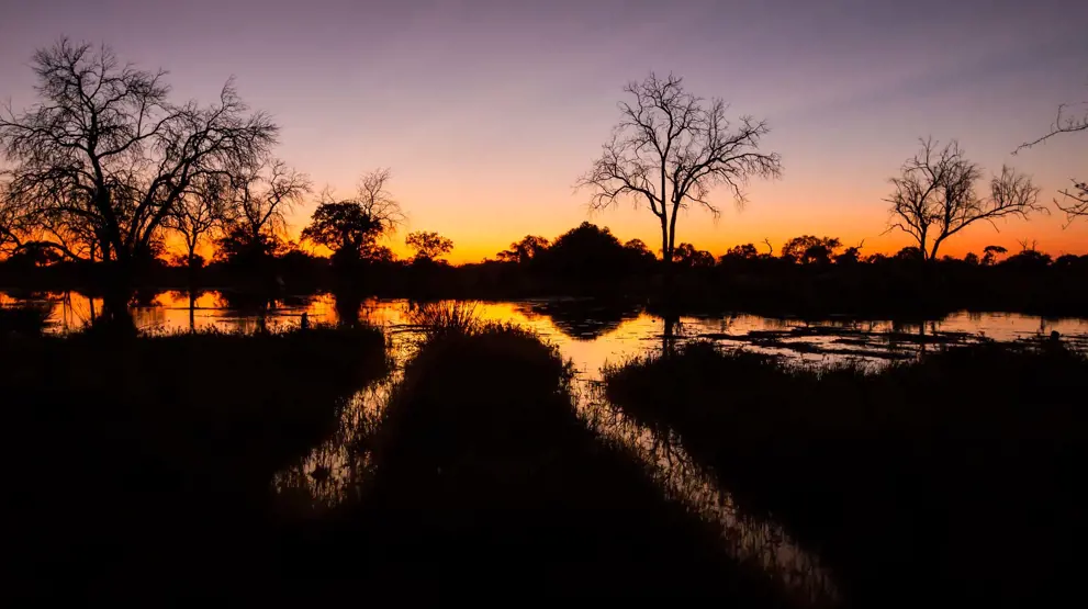 Se den klare nattehimmelen og flotte solnedganger på din reise til Botswana
