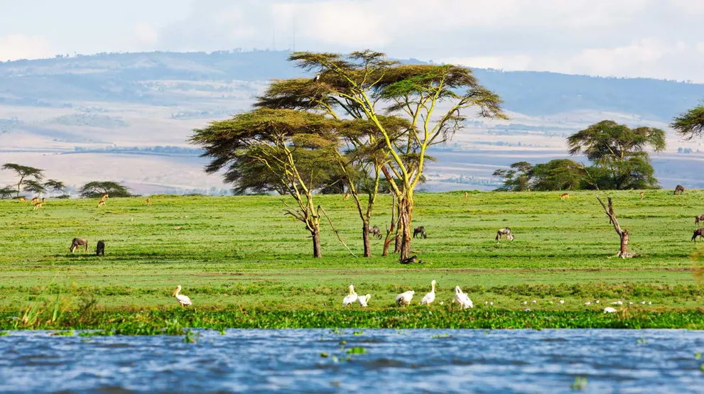 Lake Naivasha i Longonot Nationalpark