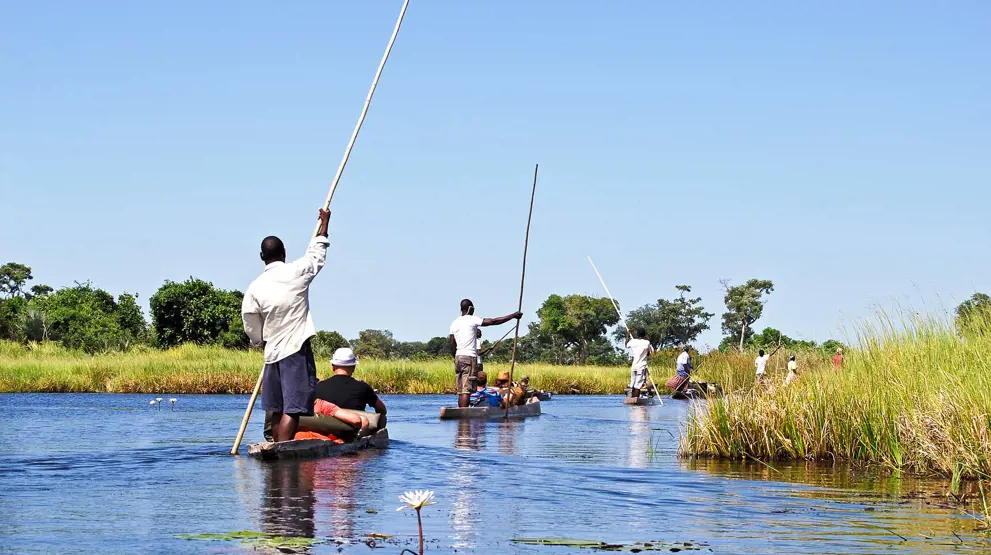 Det finnes flere ulike typer båtsafari i Okavangodeltaet, blant annet i tradisjonelle kanoer