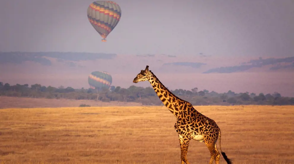 Svev i luften på en unik og idyllisk ballongsafari