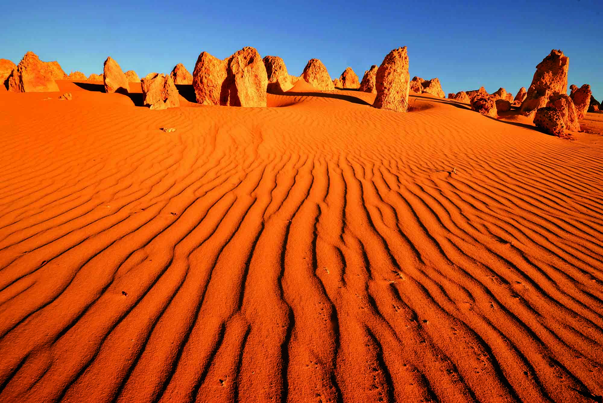 Beautiful deserts. Пустыни Австралии. Пустыня Пиннаклс. Западно австралийская пустыня.