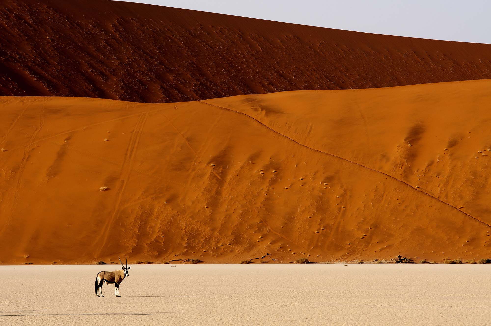 Safari I Sossusvlei | Opplev Namibørkenen Med BENNS